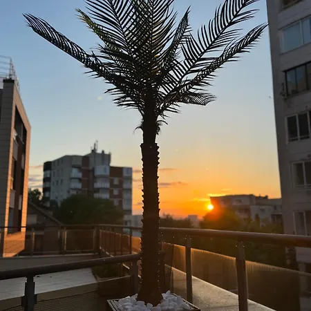Apartment Tres Palmas Sofia