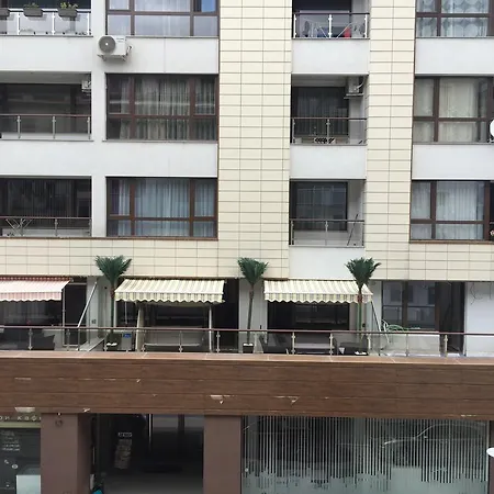 Tres Palmas 公寓 索菲亞